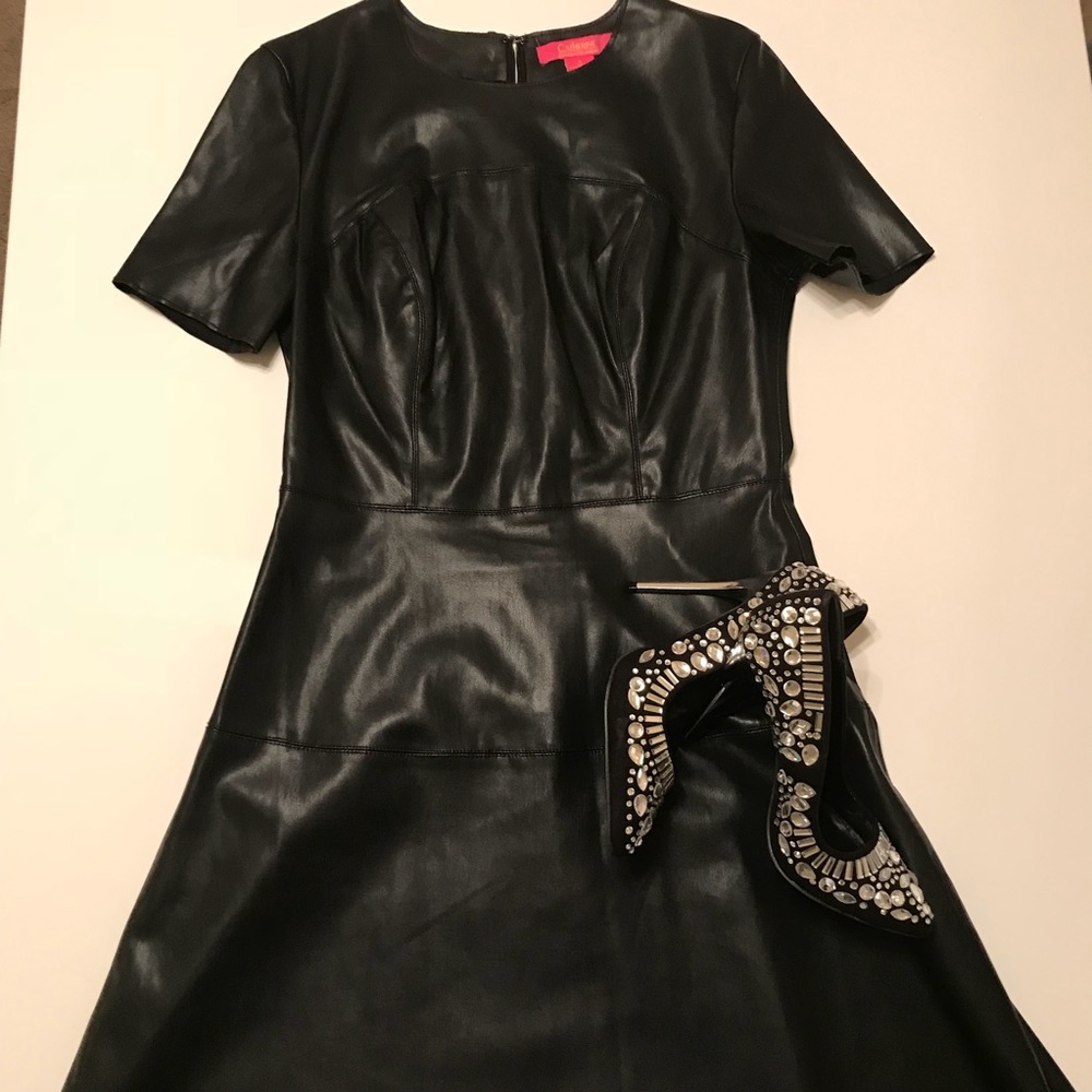 Little Black Faux Leather Dress
